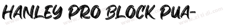 Hanley Pro Block PUA字体转换